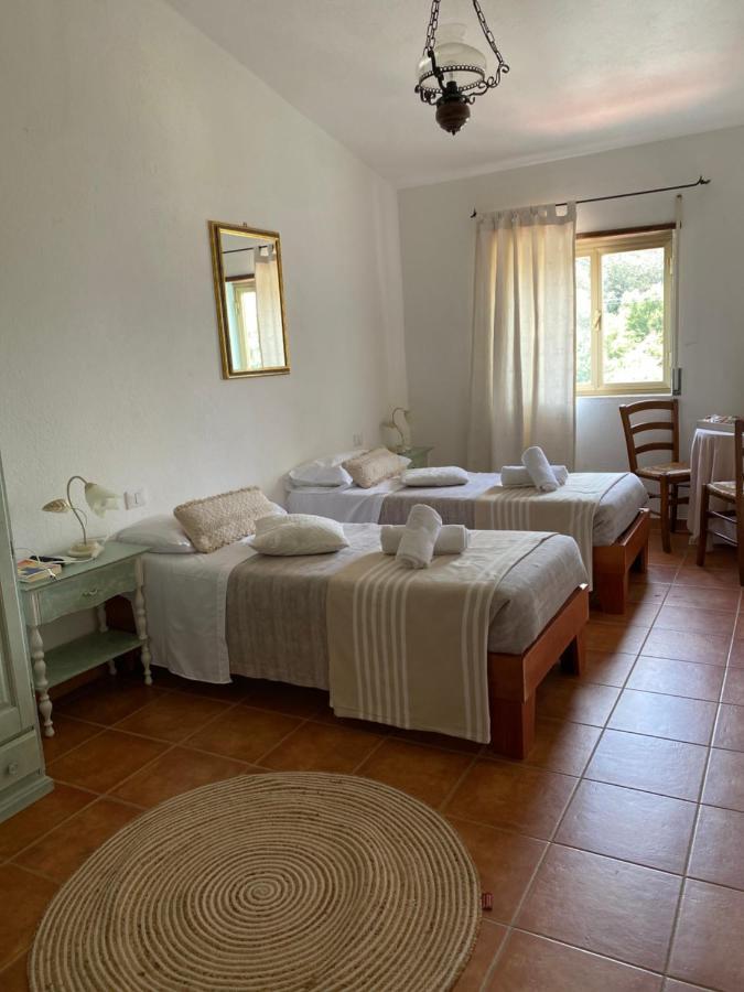 B&B La Pitraia Sant'Antonio di Gallura Bagian luar foto