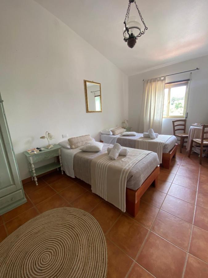 B&B La Pitraia Sant'Antonio di Gallura Bagian luar foto